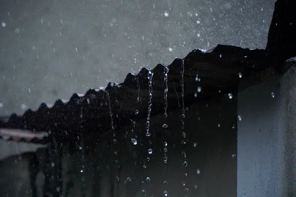 Leaking Roof Repair in Smithtown NY | Emergency Services