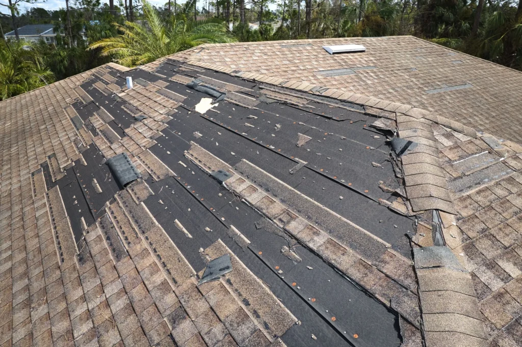 Roof with Missing Shingles