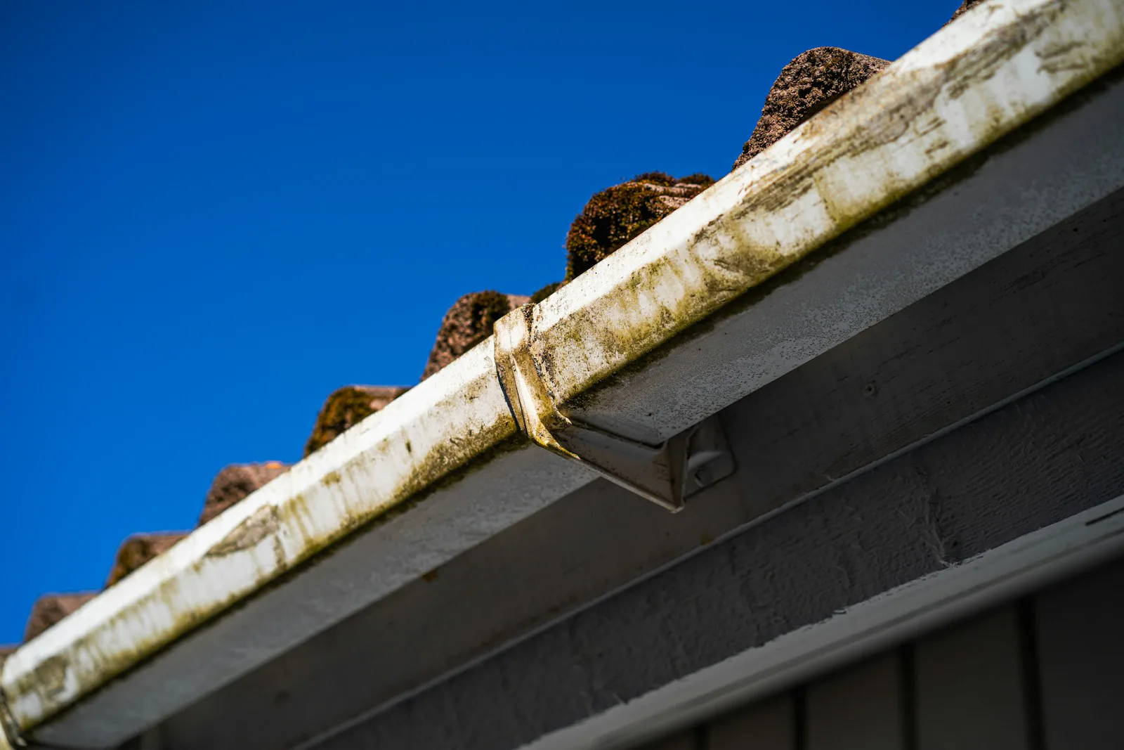 Weathered fascia board with an algae-stained gutter along a roof edge in Setauket, NY