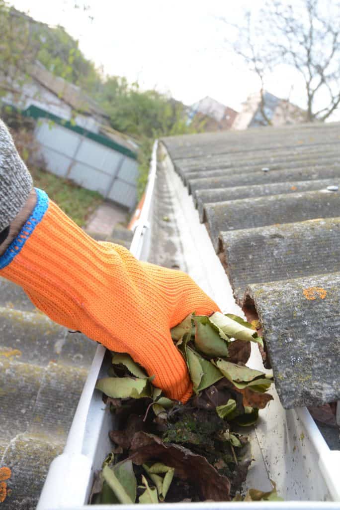 Hand removing leaves from gutter