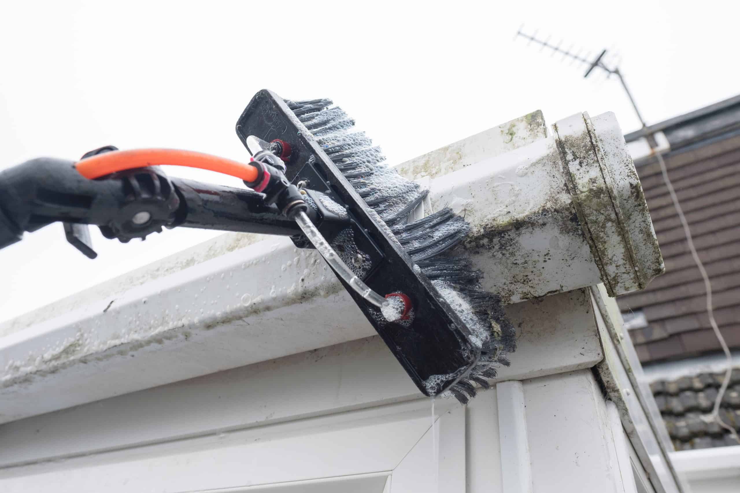 Brush cleaning moldy gutters